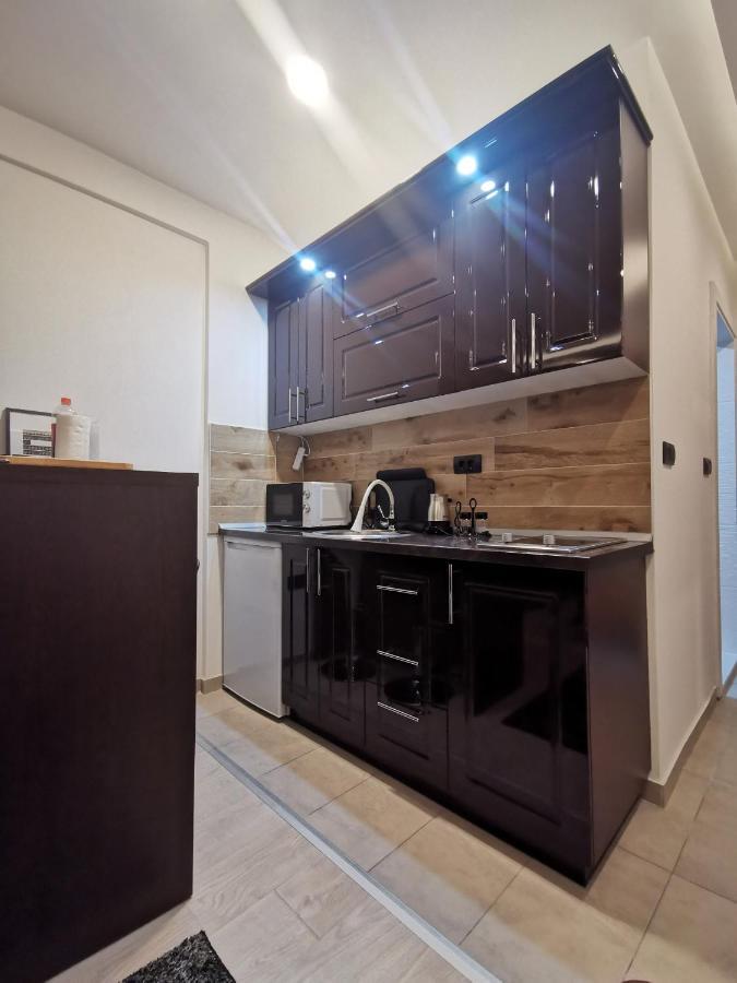 Kopaonik apartmani NR Bagian luar foto