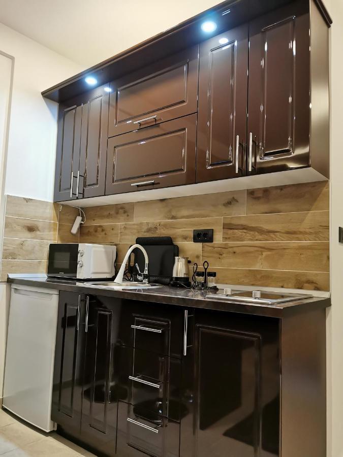 Kopaonik apartmani NR Bagian luar foto